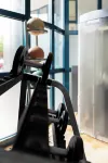 Seminaris Hotel Nürnberg - Gym