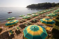 Hotel le Acacie Hotels in Mola