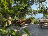 Mango House - Seaview - Homestay. Hôtels à : 