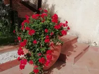 Villa Aresco Hotels in Mascalucia