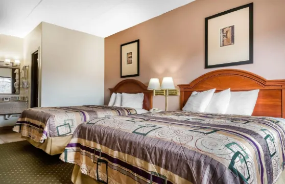 賓厄姆頓維斯塔爾凱藝套房酒店