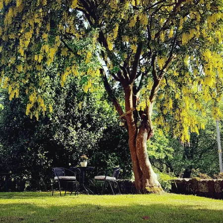 The Beehive Guest House