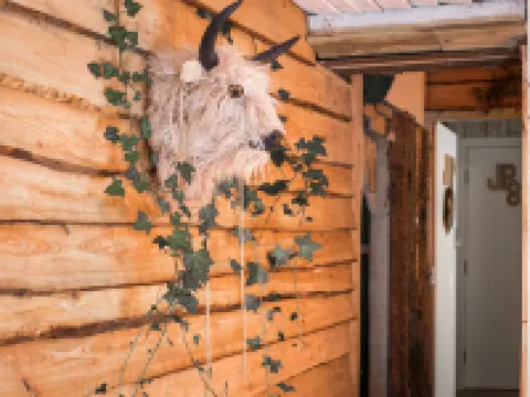 James' Place @ Pontmorlais Hoteles en Town