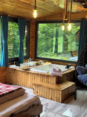 Ayder Selale Dag Evi Отели в г. Yukarisimsirli Koyu