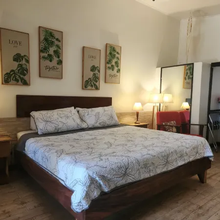 Hotel la Palapa