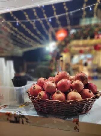 Maya Guest House - German Colony & Baháí Gardens, Haifa