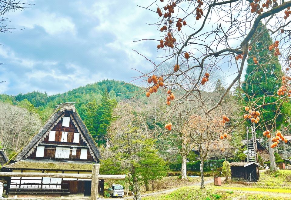 4. 호스텔 미야가와..