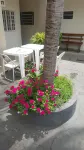 Ami Hotel Hotels in Varzea Grande