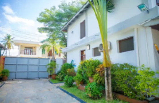 雛菊舒適旅館 酒店