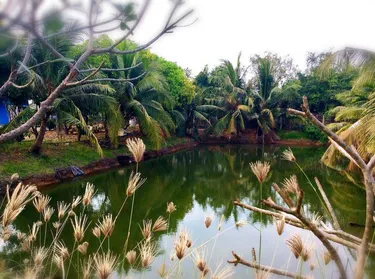 รูปภาพของเดอะ สุข รีสอร์ท