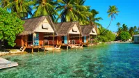 Tetamanu Village Hôtels à proximité de : Fakarava Adventure