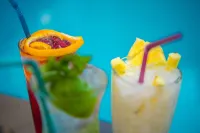 Palmyra Beach Hotel - Barer