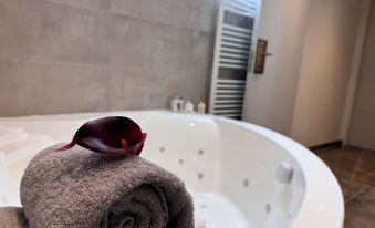 Brit Hotel de Grignan Vichy