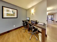Holiday Inn Express & Suites EDMONTON-INTERNATIONAL AIRPORT by IHG - Business