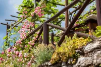 Il Borgo Dei Corsi - Charming Holiday Apartments