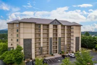 Mountain View Condo 1205 - Two Bedroom Condo