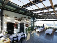 The Haze Karaköy - สัตว์เลี้ยง