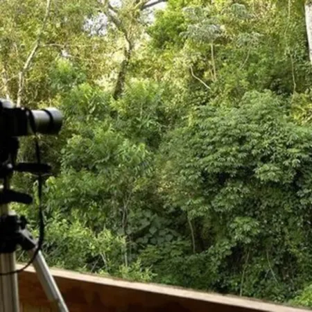 La Aldea de La Selva Lodge