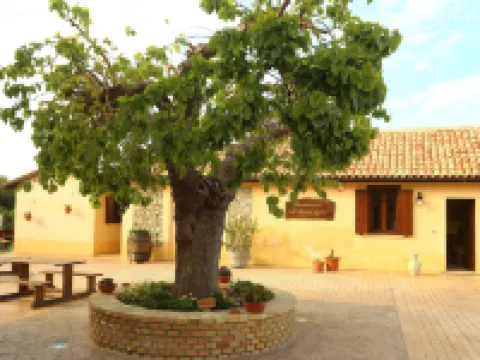 Al Grande Gelso Hotels in Cariati