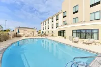 Holiday Inn Express & Suites Schulenburg by IHG - Pools