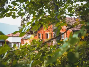 Pineta Nature Resort