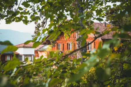 Pineta Nature Resort Отели в г. Tassullo