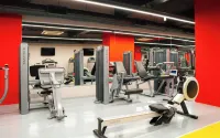 Ramada Hotel & Suites by Wyndham Izmir Kemalpasa - Gym