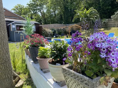 The Belmont Отели рядом с достопримечательностью «Шанклин в Ventnor Coastal Walk»