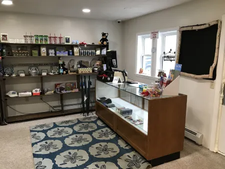 White Birches Motel Отели в г. Франклин