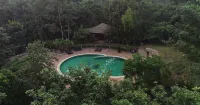 Syna Tiger Resort Bandhavgarh - Pools