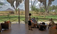 Ashnil Samburu Camp