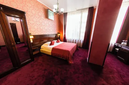 Daily Plaza Hotel Отели в г. Сучава