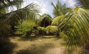 Safasurf Camp - Hostel