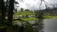 Ciwidey Jungle Villa Hotels in Cimaung
