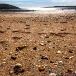 Dunbrody Country House Hotel - Beach