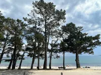 6-person seaview apartment with garden and private heated pool
