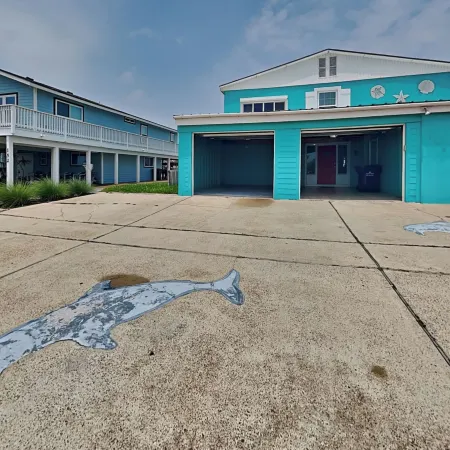 Dolphin Paradise