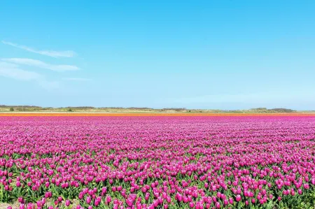 Studio in Callantsoog by Dunes and Sea