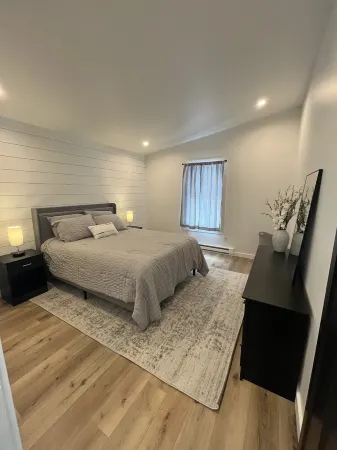 Brand new, modern, cozy house in the woods!