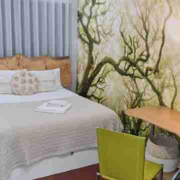 Apartment in the historic center of Porto - With a beautiful and large terrace Rooms