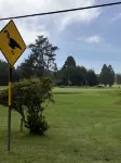 Quiet neighborhood Across from Hawaii Volcanoes  National Park