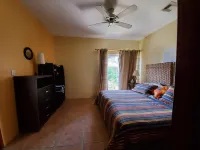 Cozumel Oceanfront Beach Villa~Costa Del Sol-A3~Diver's Utopia! Caribbean Dreams