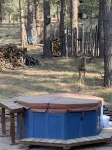 Enjoy the stars and the deer under the ponderosa pines