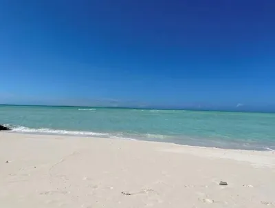 Island Vibe #1 3 bedroom condo near the beach Hotels in 