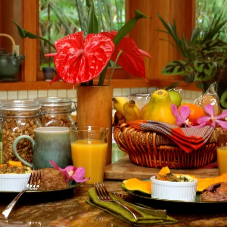 Volcano Rainforest Retreat