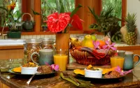Volcano Rainforest Retreat - Rum och frukost