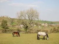 Annex Chetnole Hotels in Felton