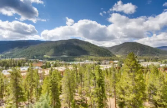 Spacious Penthouse 3Br ~No Cleaning Fee~Kids Ski Free! 3 Bedroom Condo by RedAwning