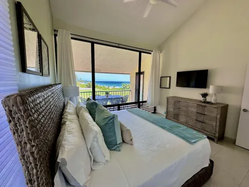 3 Bedroom Condo w/ Gorgeous View at Palmas Del Mar