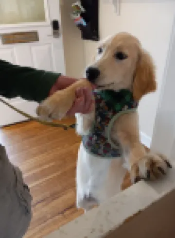 シー シェル モーテル